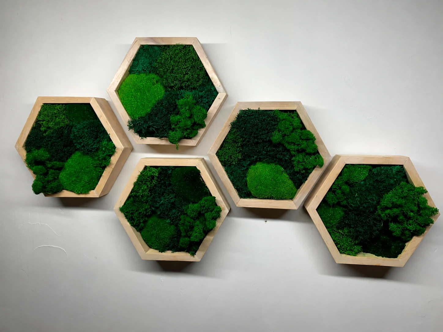 Five handcrafted preserved-moss hexagons in natural wood frames