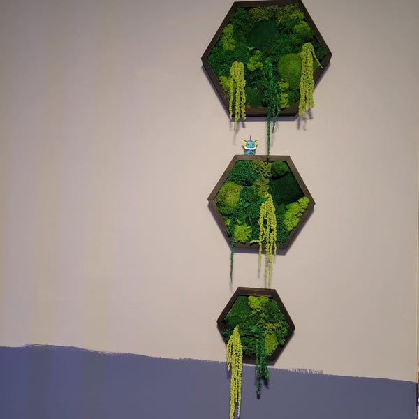 JockoStudio artwork in Sharon's interior