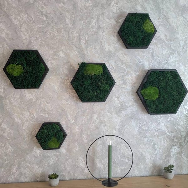 Customer interior with JockoStudio moss art