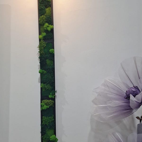 JockoStudio artwork in Camillia's interior