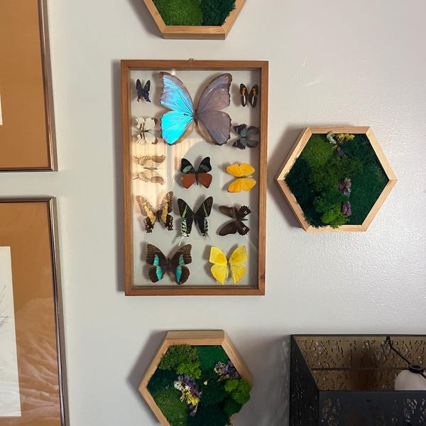 JockoStudio artwork in Briony's interior