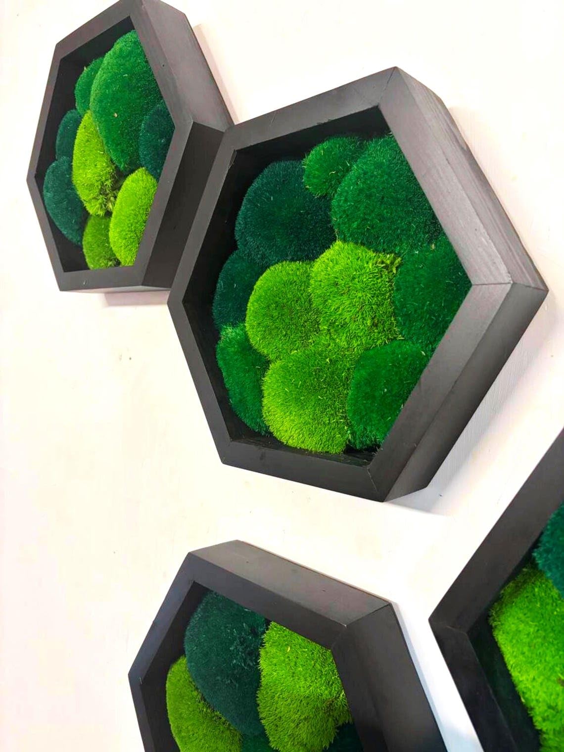 Natierlecht Moos-Hexagon