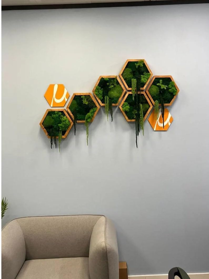 Klassescht gerummte Moos-Hexagon