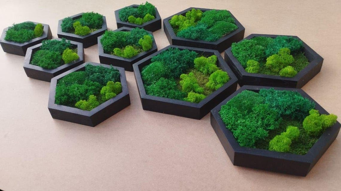 Modular Moss Hexagon Set