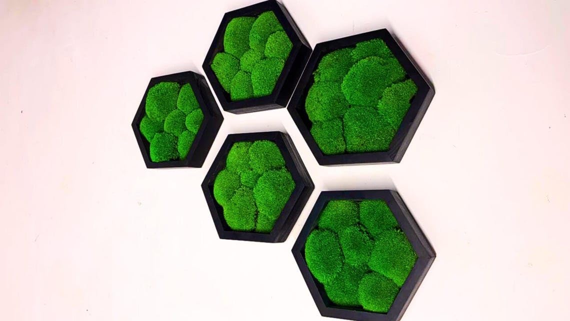 Organescht Moos-Hexagon