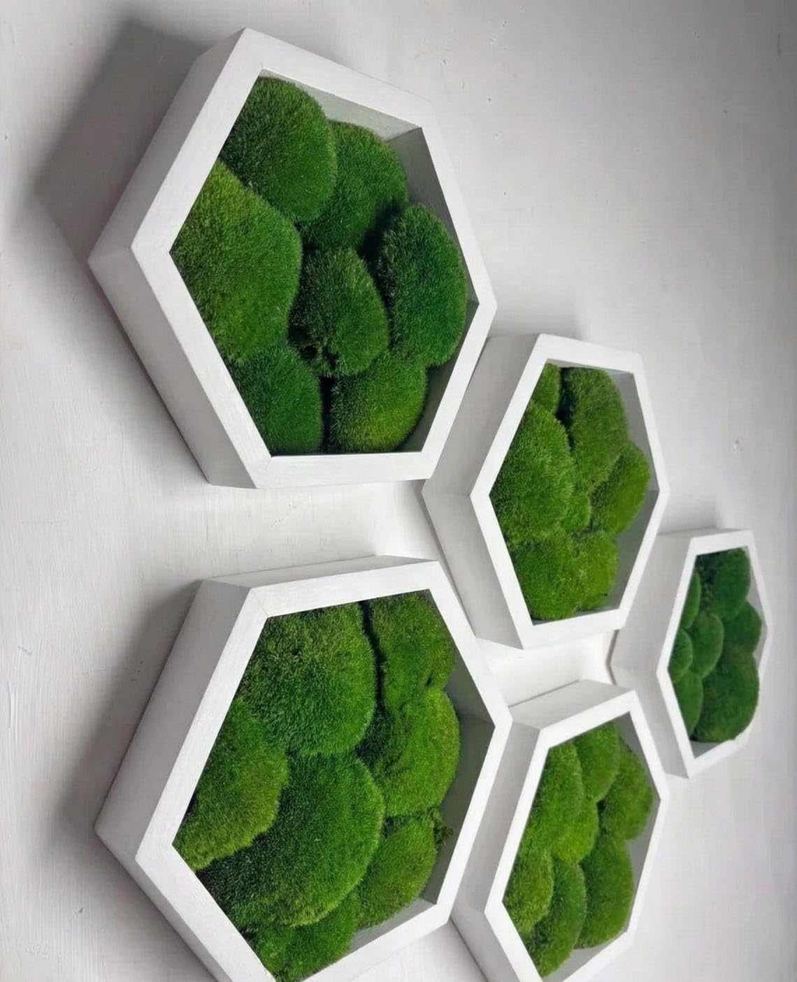 Luxuriéist Moos-Hexagon