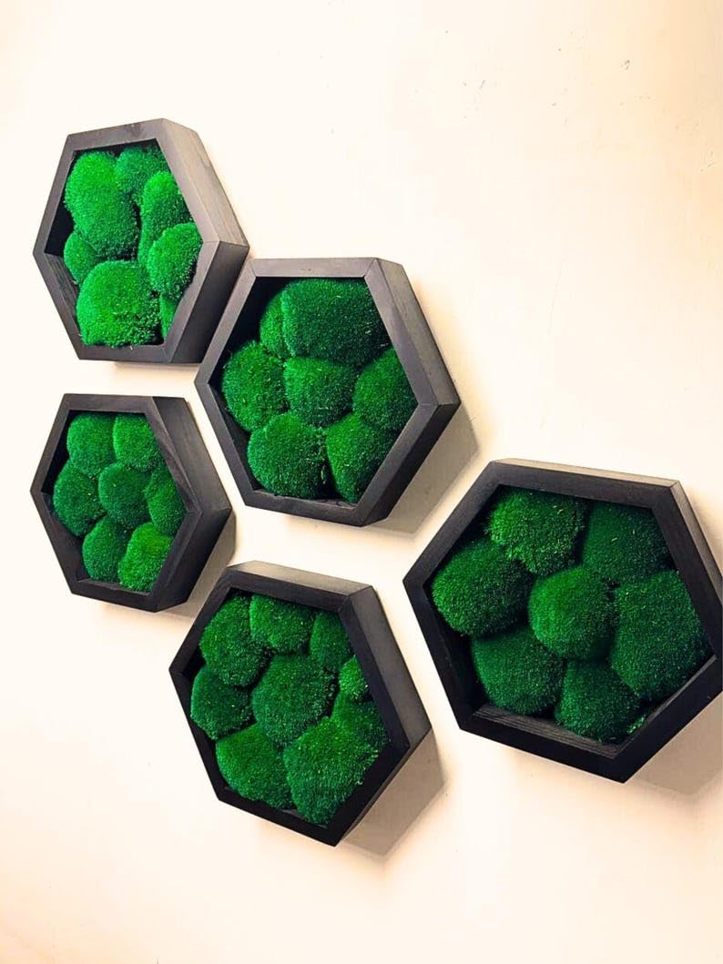 Këssenmoos-Hexagon