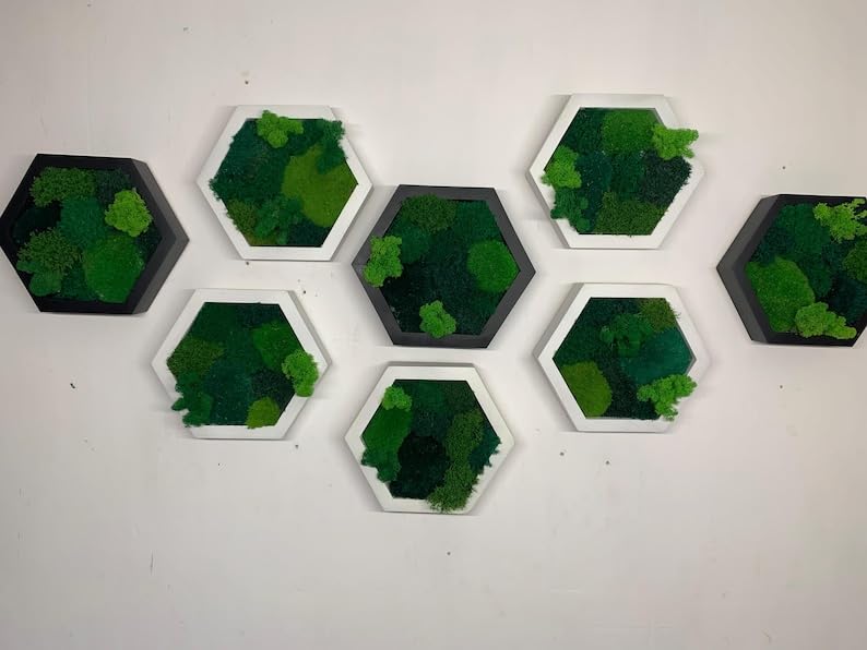Botanesche Set vu Moos-Hexagonen