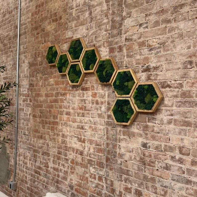 Moos-Hexagon am Eechekader