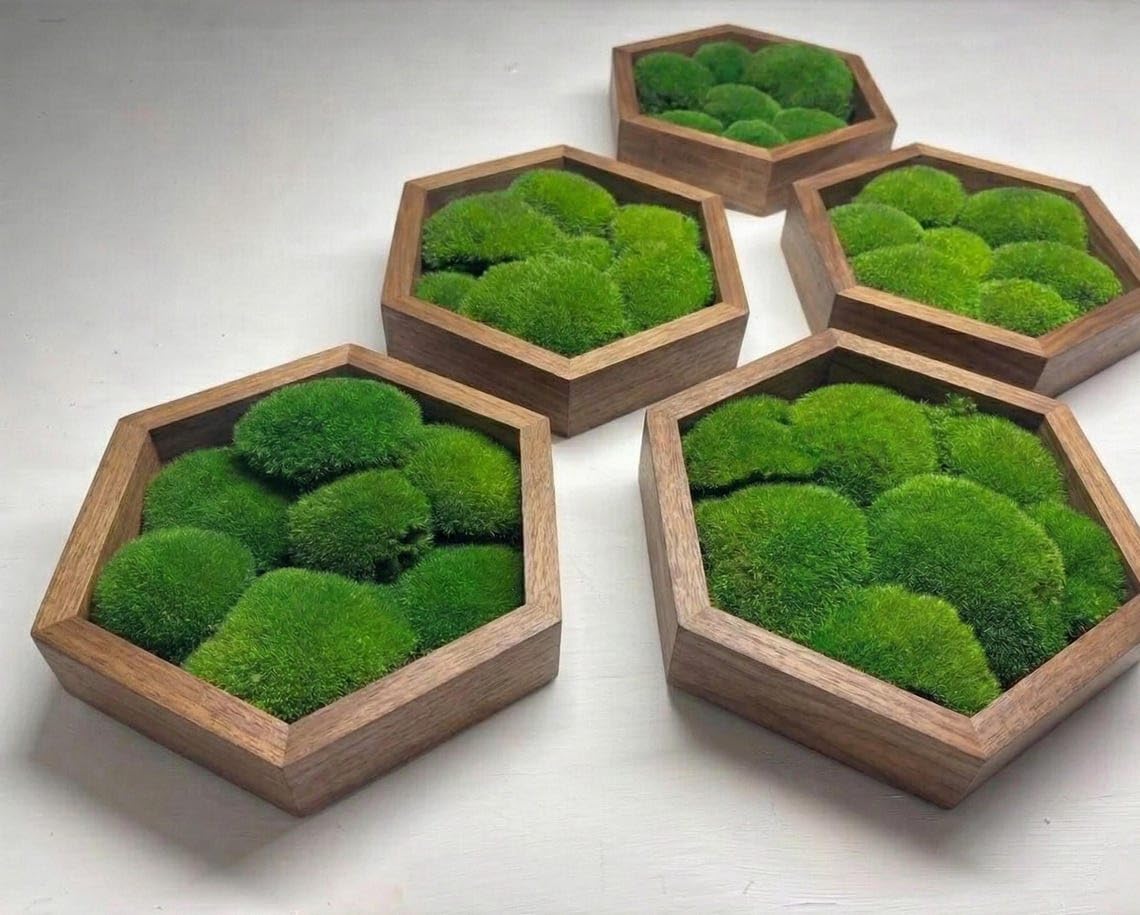 Këssenmoos-Hexagon
