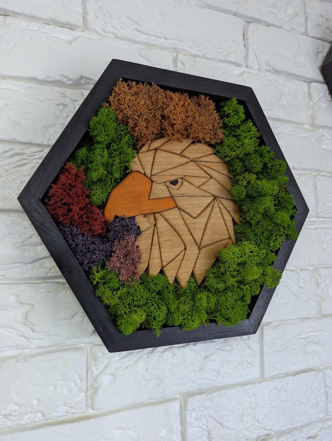 Adler-Moos-Hexagon