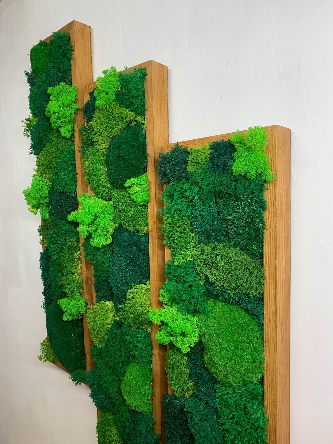 Vertical preserved moss panels in solid wood frames