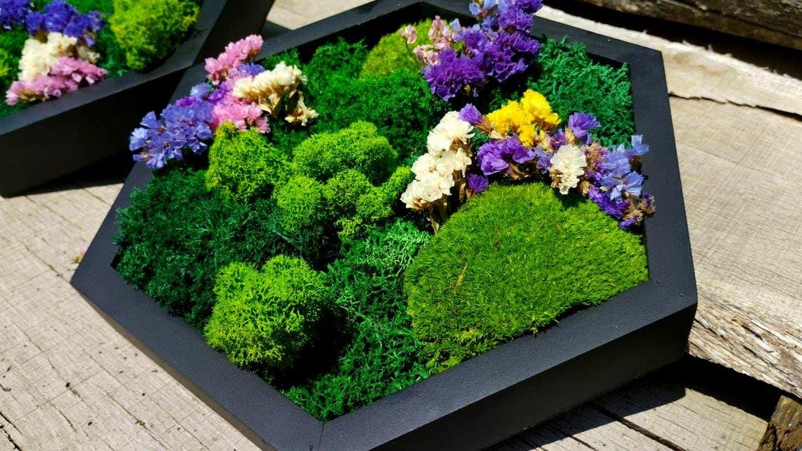 Floral Moss Art with Dried Flowers
