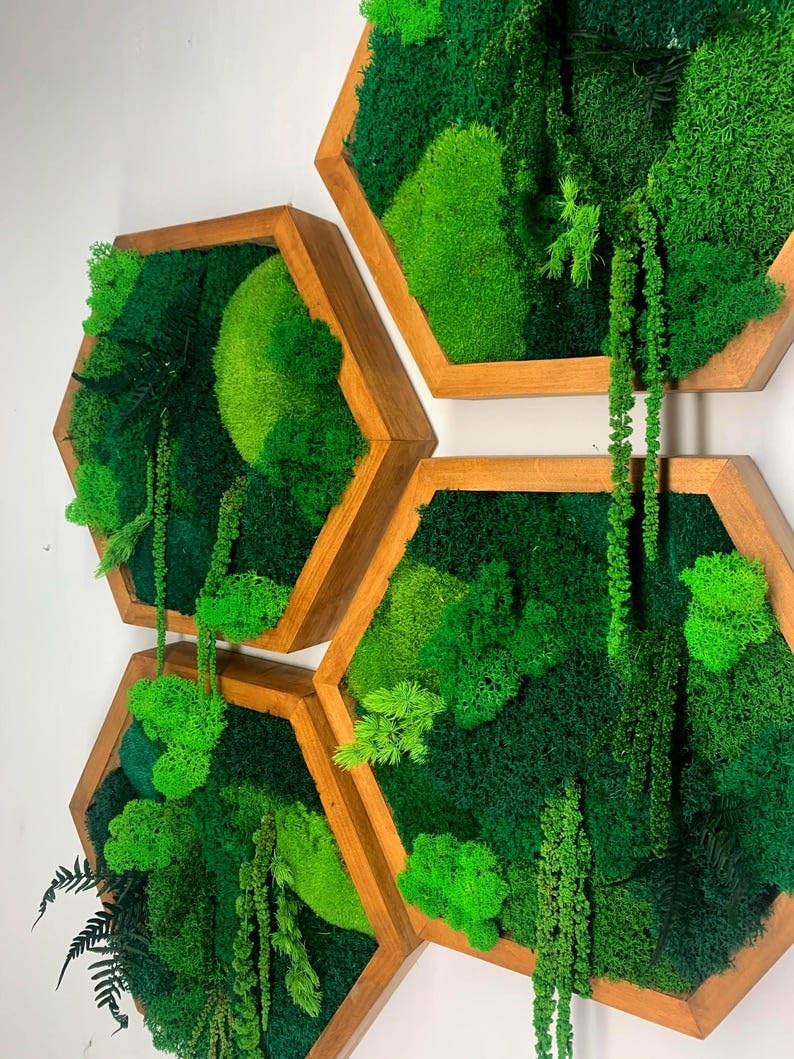 Moos-Hexagon am Hunnegkuch-Design
