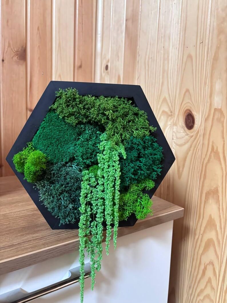 Klassescht gerummte Moos-Hexagon