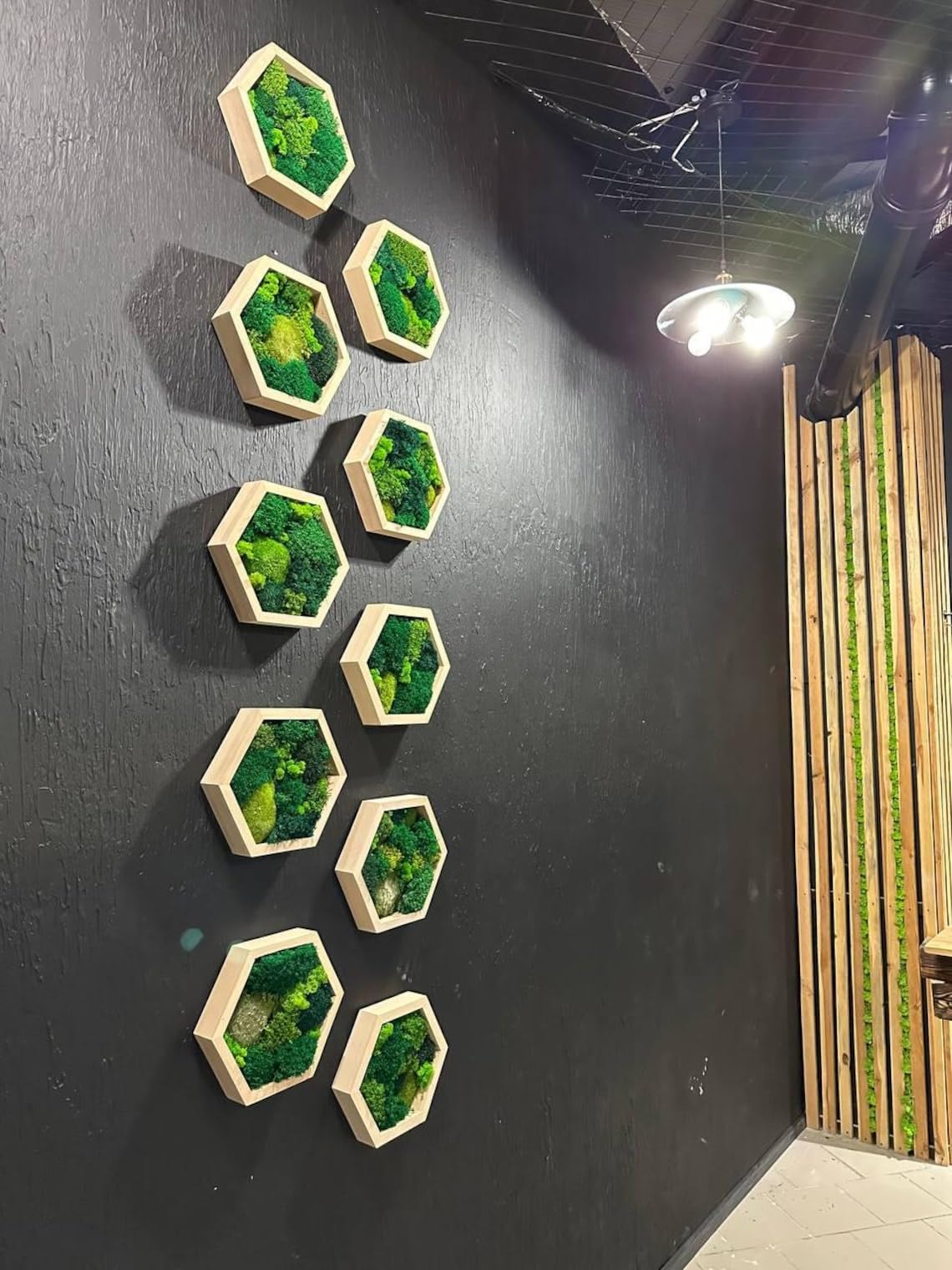 Natierlecht Moos-Hexagon