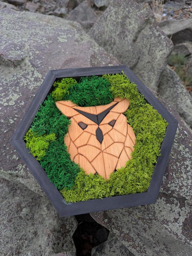 Eilen-Moos-Hexagon