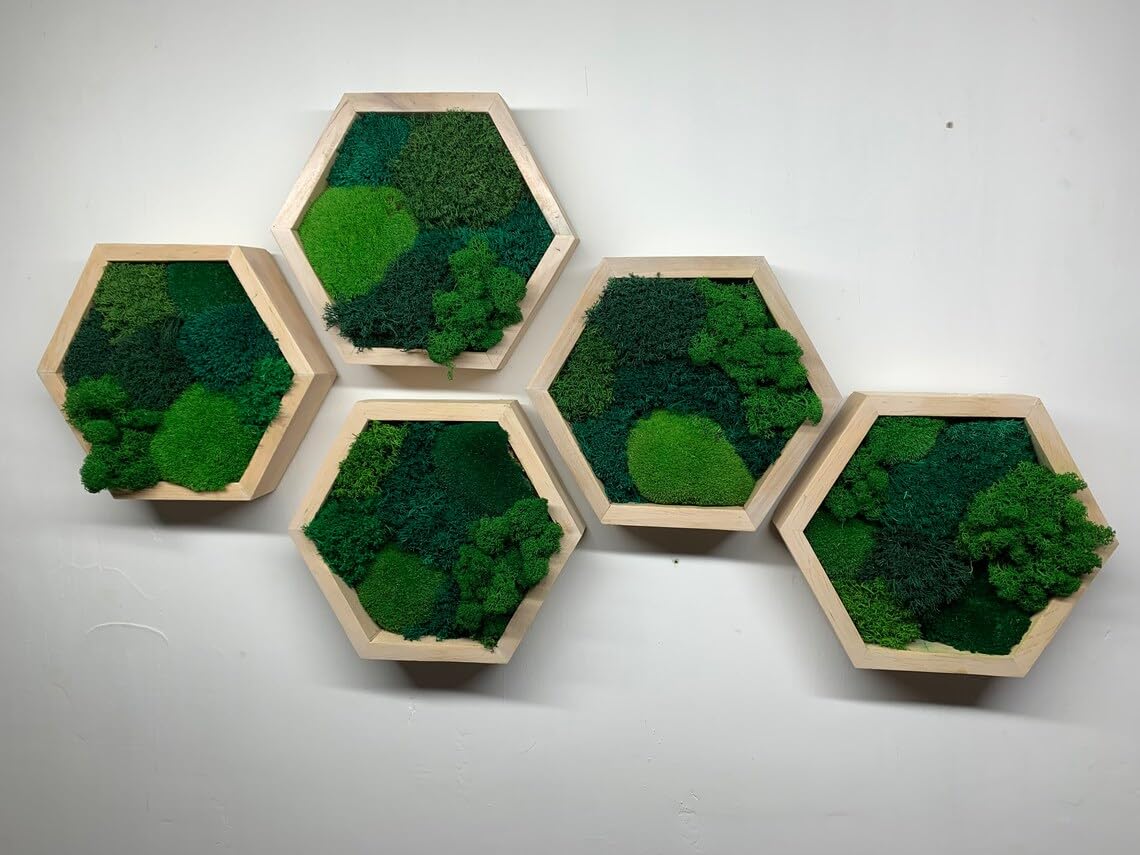 Classic Framed Moss Hexagon