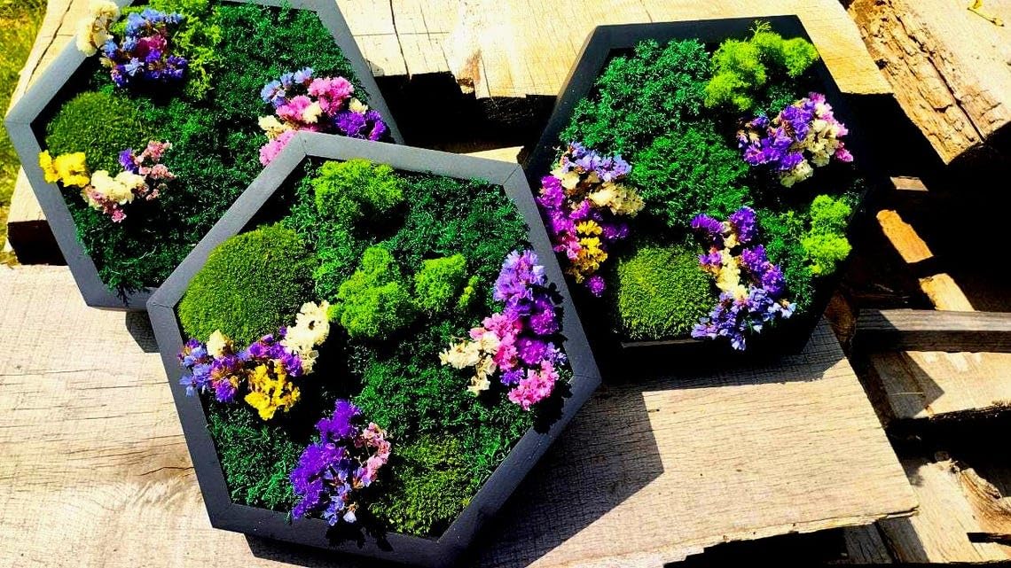 Preserved moss artwork designed for a welcoming interior