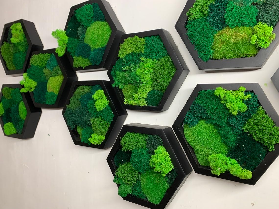 Moos-Hexagon-Wandpanel