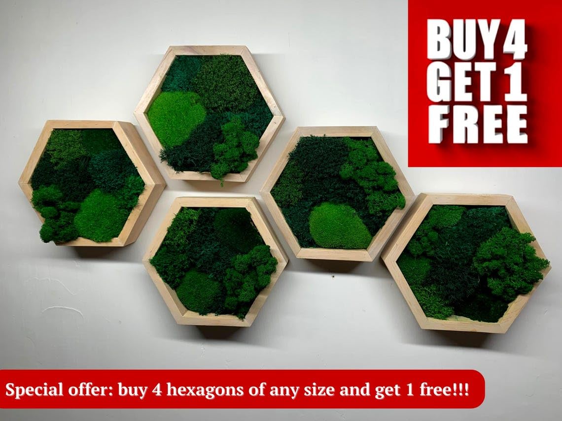 Moss Hexagon Wall Panel