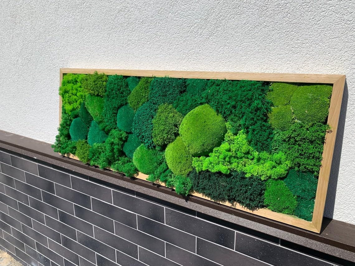 Biophilt Moos-Wandbild