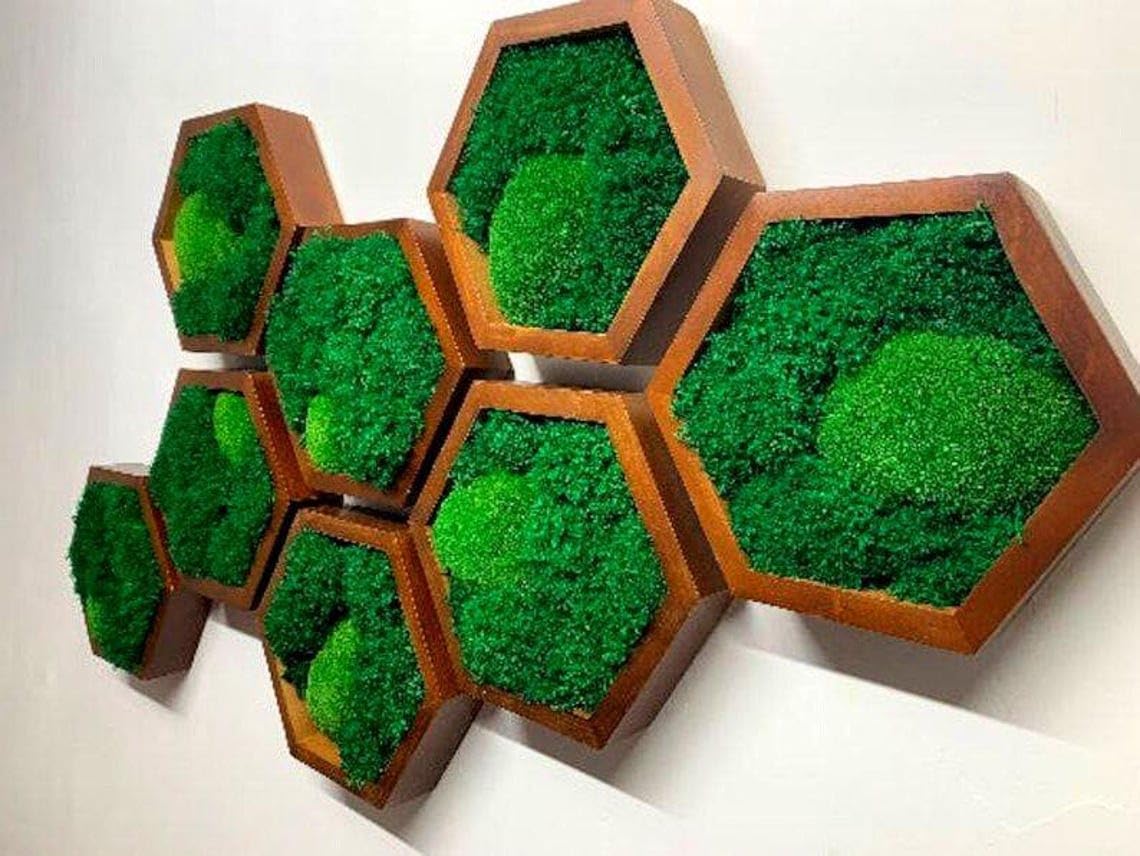 Modular preserved moss hexagons arranged on a wall