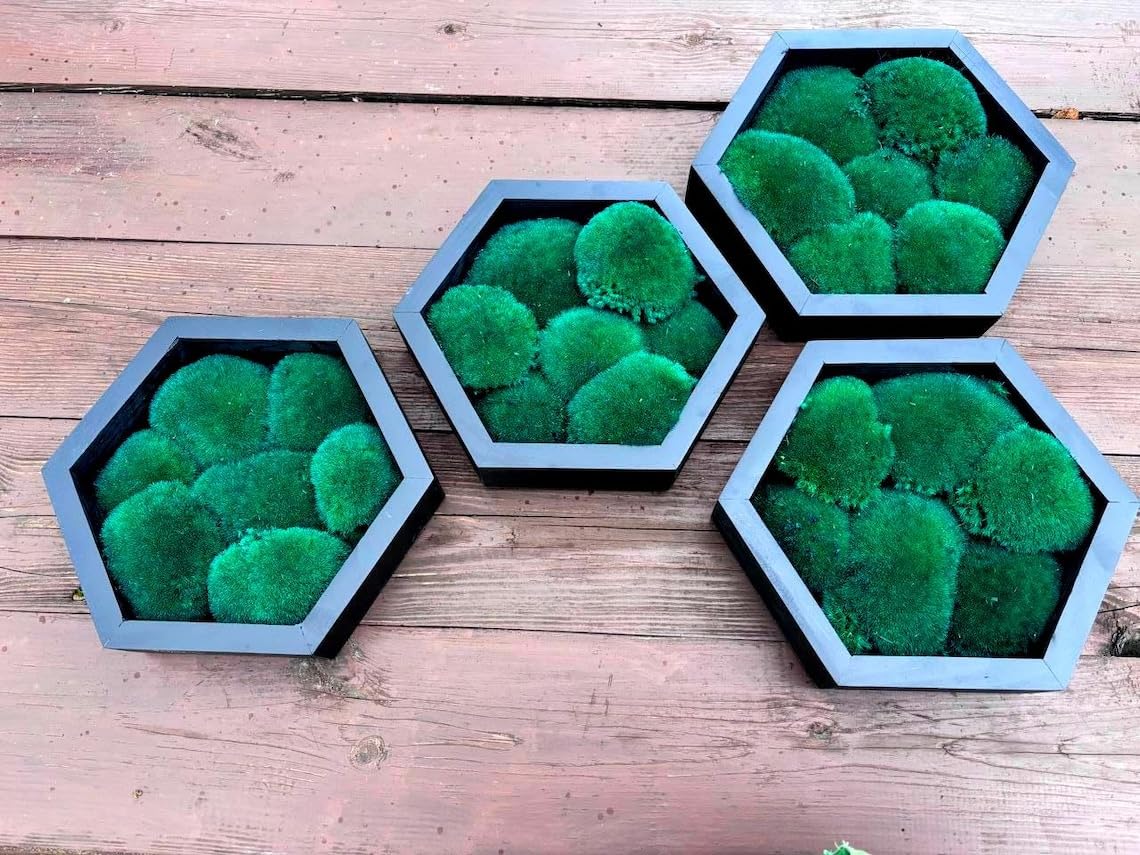 Däischtert Smaragd-Moos-Hexagon