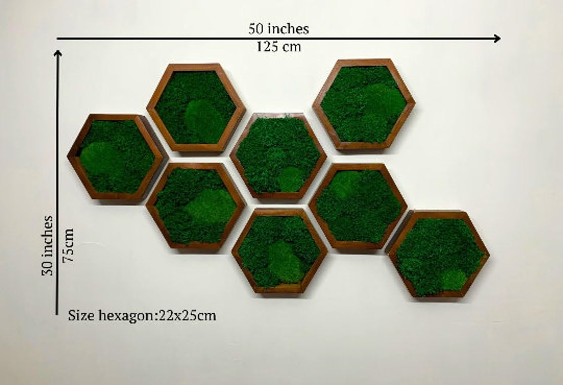 Luxury Moss Hexagon