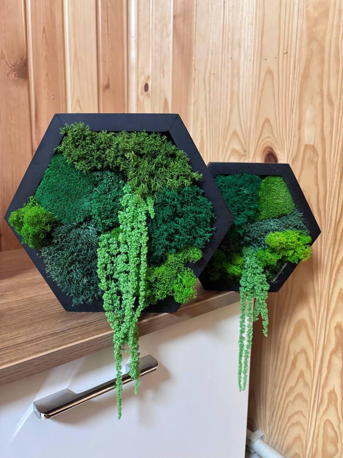 Classic Framed Moss Hexagon